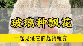 豪横大哥给女儿定制的玻璃种飘花手镯，起货竟然会发光！#翡翠 #翡翠手鐲 #缅甸翡翠 #天然翡翠 #翡翠玉石 #翡翠a玉 #翡翠a貨 #翡翠手镯 #翡翠吊墜 #翡翠挂件