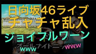 【オードリーANN】日向坂46のライブに春日の愛犬チャチャが乱入して若林が説教www