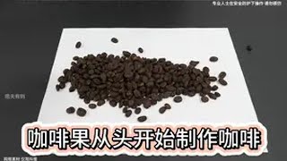 咖啡果从头开始制作咖啡 制作过程 趣味实验 咖啡 内容启发搜索 痞夫有则