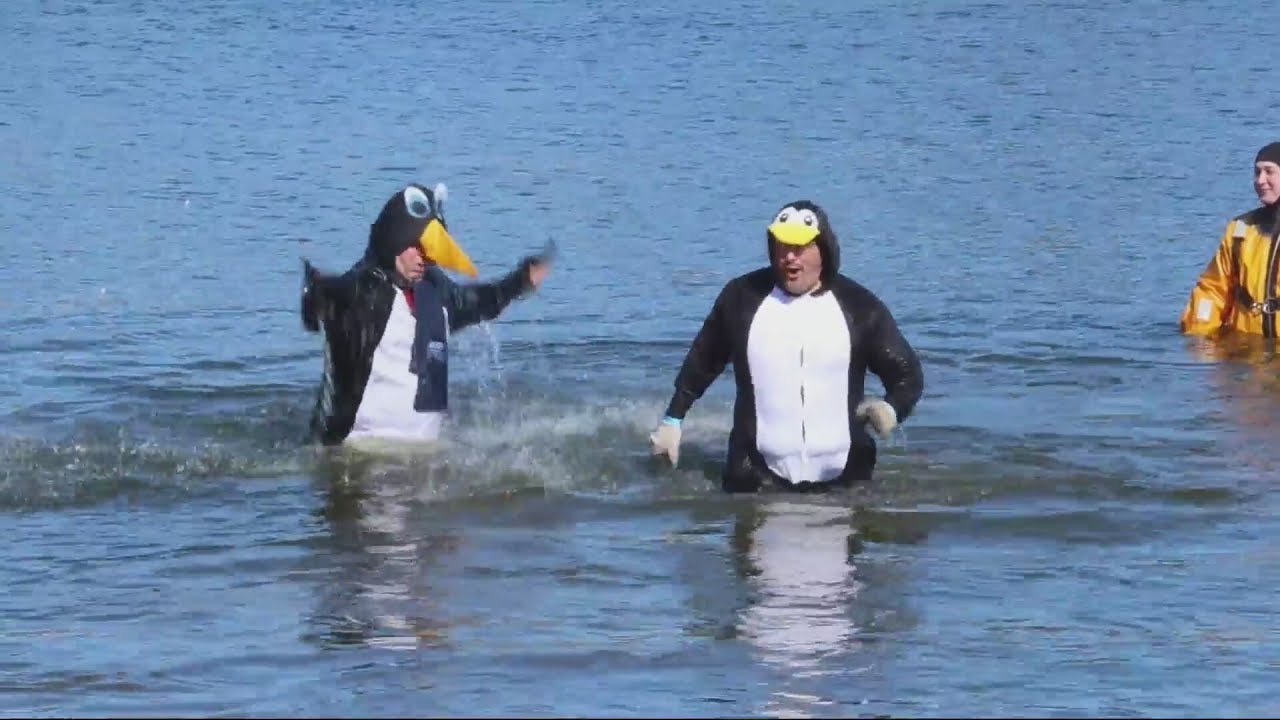 Freezin' For A Reason: Mahomet Polar Plunge - YouTube