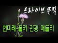 드라이브 뮤직 현미례 관광버스 메들리