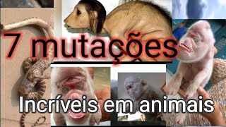 7 mutações Incríveis em animais