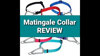 Monkey & Mazikeen: DOG COLLAR (review)  MARTINGALE inexpensive dog collar .
