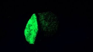 Strongly Phosphorescent Willemite w/Calcite, 3 lbs 5 oz from 60+ y/o collection.