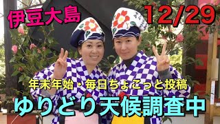 伊豆大島・ゆりどり年末年始特別配信12/29【大島あるある\u0026今日の一皿(なべきち)】