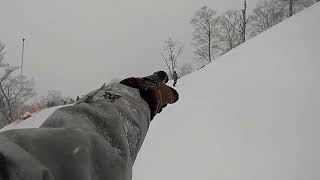 高鷲からダイナランドまでの林道コースノーストップ2月５日土曜日