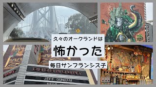 【治安最悪のオークランドは、やっぱり怖かった】無差別🈲人 | 発砲事件 | サンフランシスコ庶民生活