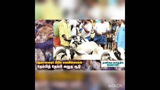 மனிதனை மிஞ்சும் மிருகம்...