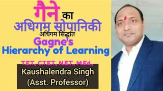 गैने का अधिगम सिद्धान्त, Gagne's Hierarchy of Learning, गैने  का अधिगम सोपानिकी, 8 प्रकार का अधिगम