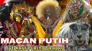 Full Hd !! Jaran kepang Macan Putih Live Perform Kayupuring Grabag