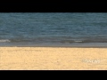 Jetty Drowning | 9 News Adelaide