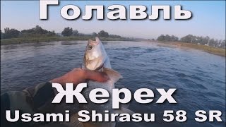 Ловим Голавля и Жереха спиннингом на воблер минноу. Usami Shirasu 58 SR