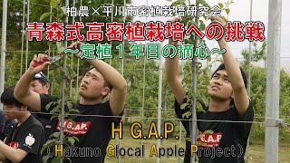 【柏農×平川市密植栽培研究会】青森式りんご高密植栽培への挑戦～定植1年目の摘心～