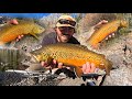 GIANT TIGER TROUT FISHING!! (Catch, Cook, Camp)