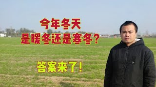 今年冬天是暖冬还是寒冬？答案来了，老祖宗说了这两句谚语！