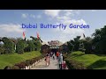 Dubai Butterfly Garden #journey #discovery #garden #butterfly