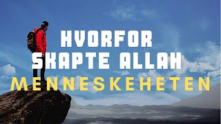 Hvorfor skapte Allah menneskeheten?