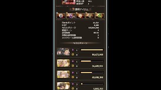 【グラブル】つよバハ光マグナ26秒貢献度160〜170万（ヴァイキング・ハルモニア2本）【Granblue fantasy】Proto Bahamut