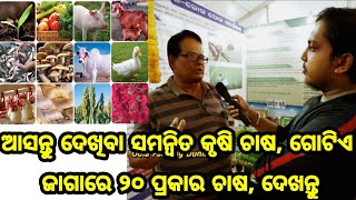 ଆସନ୍ତୁ ଦେଖିବା ସମନ୍ଵିତ କୃଷି ଚାଷ, ଗୋଟିଏ ଜାଗାରେ ୨୦ ପ୍ରକାର ଚାଷ, Integrated farming all details in Odia