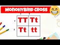 Monohybrid cross and the Punnett square