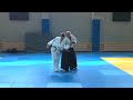 aikido tehnika 5