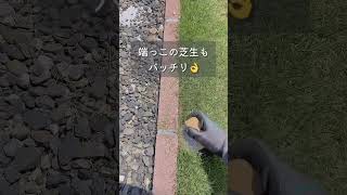 強敵！！隙間の雑草、擦るだけで簡単撃退！！！手で取りにくい、座だそうもこれを使えば簡単に取れるよー！#ライフハック #雑草対策 #楽天 #楽天購入品 #shorts