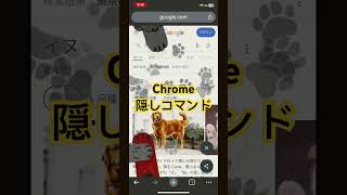 Chromeの隠しコマンド secret command - dog barking