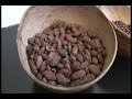 Arte y sabor del cacao peruano en la Casa de la Gastronomía