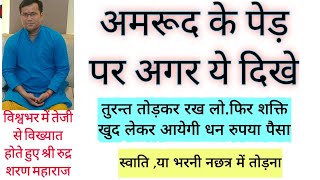 शाबर सिद्ध#अमरूद के पेड़ से उतरती है शक्ति//जो ले आया //उसकी तकदीर चमक जाएगी//all shidhya shabar#