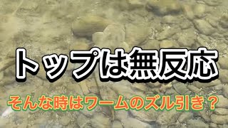 『1日1魚チャンネル』表層無反応な日！#沖縄ルアー釣り #沖縄ルアー #ライトゲーム