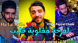 Cheb Fayçal Cholé 2023 Farkha Maglouba Glib FT Adel Dilou © Live Choc🔥