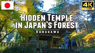 Japan Walk: Exploring the Hidden Daiyuzan Saijoji Temple in the Mystical Autumn Forest • 4K UHD