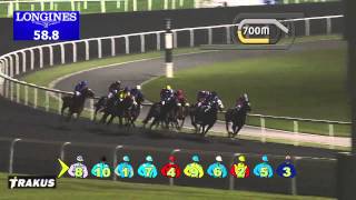 09.01.2014 Meydan (Dubai-UAE) 6.Race Al Maktoum Challenge R1 2014 - Group II 1.600 m