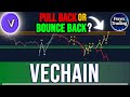 VECHAIN PRICE PREDICTION : IS THIS A PULL BACK OR BOUNCE BACK ? - VECHAIN NEWS NOW