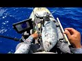 my first ulua giant trevally on the kayak hawaii kayak fishing bonus catch shibi