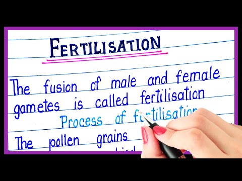What is Fertilisation short answer?