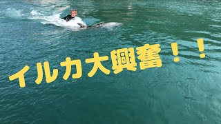 新しい遊びが生まれた瞬間　【壱岐イルカパーク\u0026リゾート】