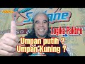 Umpan Putih Umpan Kuning Mancing Mas / LOGIKA PAKBRO