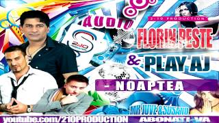 Florin Peste & Play AJ - Noaptea