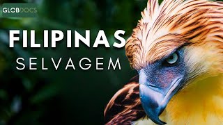 PHILIPPINES: Kingdom of Hidden Creatures [Full Documentary]