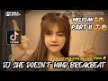 Dj She Doesn't Mind Breakbeat Patt Ii Style Viral Tik Tok Terbaru 2023