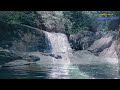 දූවිලි ඇල්ල doovili falls සිංහරාජය sinharaja rain forest water fall of sri lanka doovili ella