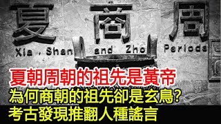 夏朝周朝的祖先是黃帝，為何商朝的祖先卻是玄鳥？考古發現推翻人種謠言！︱夏朝︱周朝︱商朝︱考古︱奇聞︱文物#風雲史記