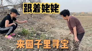 芍药花居然还可以吃？姥姥带外孙女长见识，一口吃下去都后悔了！