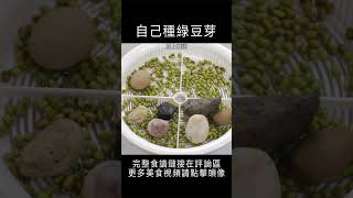 種綠豆芽