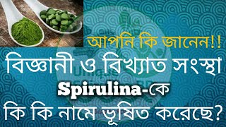 স্পিরুলিনার এতো নাম আপনি হয়তো আগে শোনেননি || superfood || future food || miracle food...