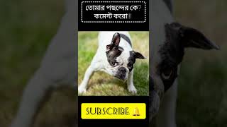 তোমার কুকুরের নাম কী?#viralvideo #funny #shortvideo #dog #doglover #music #cartoon