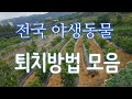 전국 야생동물 퇴치방법 모음 # 야생동물 퇴치방법  #야생동물 퇴치법