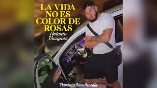 Antonio Vázquez - La Vida No Es Color De Rosas \