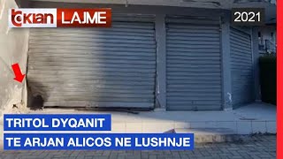 Tritol dyqanit te Arjan Alicos ne Lushnje |Lajme -News